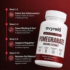 Organic Pomegranate Extract Capsules For Gut & Inflammation
