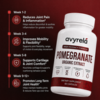 Organic Pomegranate Extract Capsules For Joints